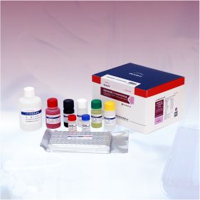 豬瘟病毒阻斷ELISA抗體檢測試劑盒