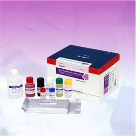 豬偽狂犬病病毒gE蛋白阻斷ELISA抗體檢測試劑盒