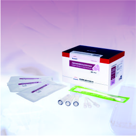 犬副流病毒膠體金檢測試紙條