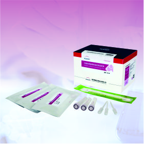 犬瘟熱病毒膠體金檢測試紙條